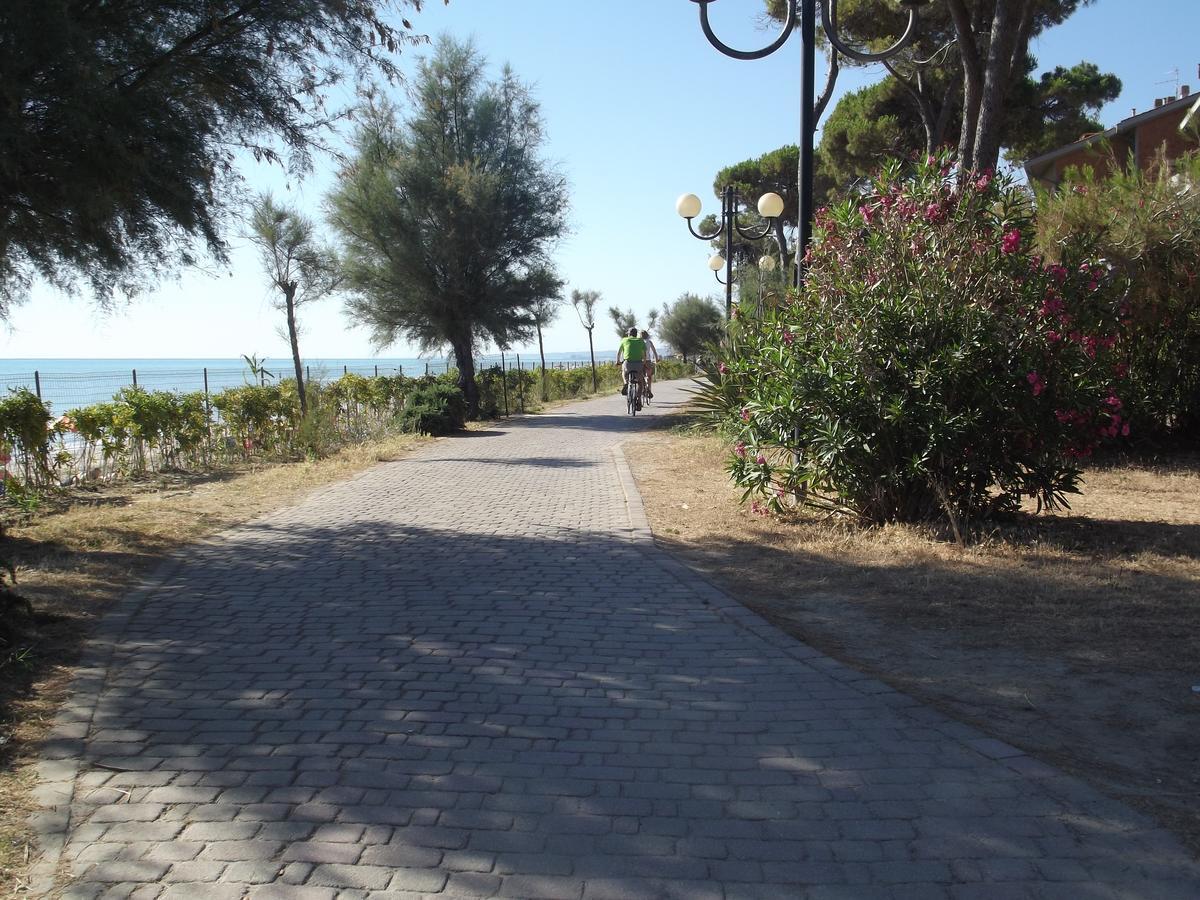 Hotel Sabbia D'Oro Pineto Εξωτερικό φωτογραφία